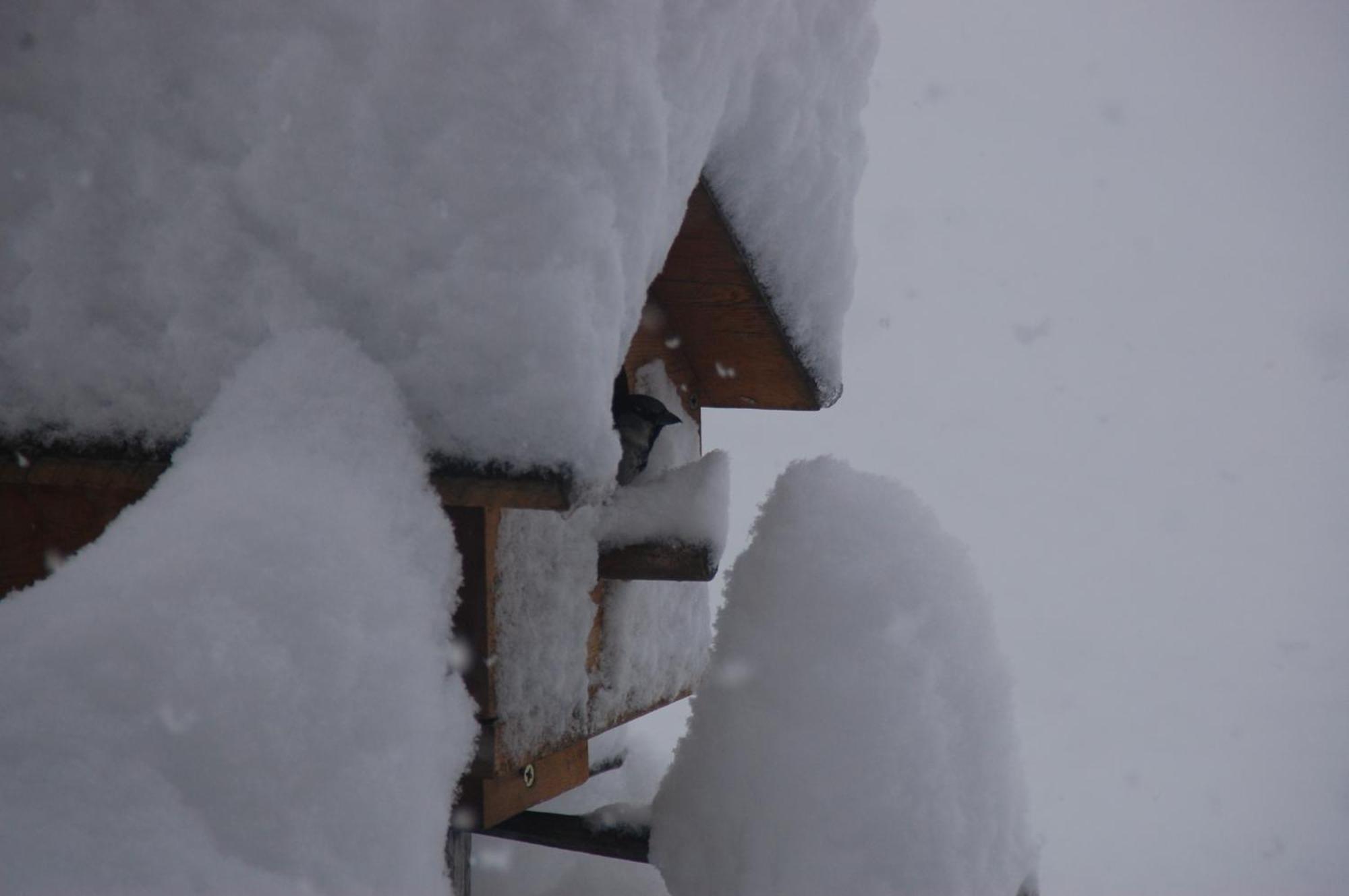 Haus Haas Lermoos
