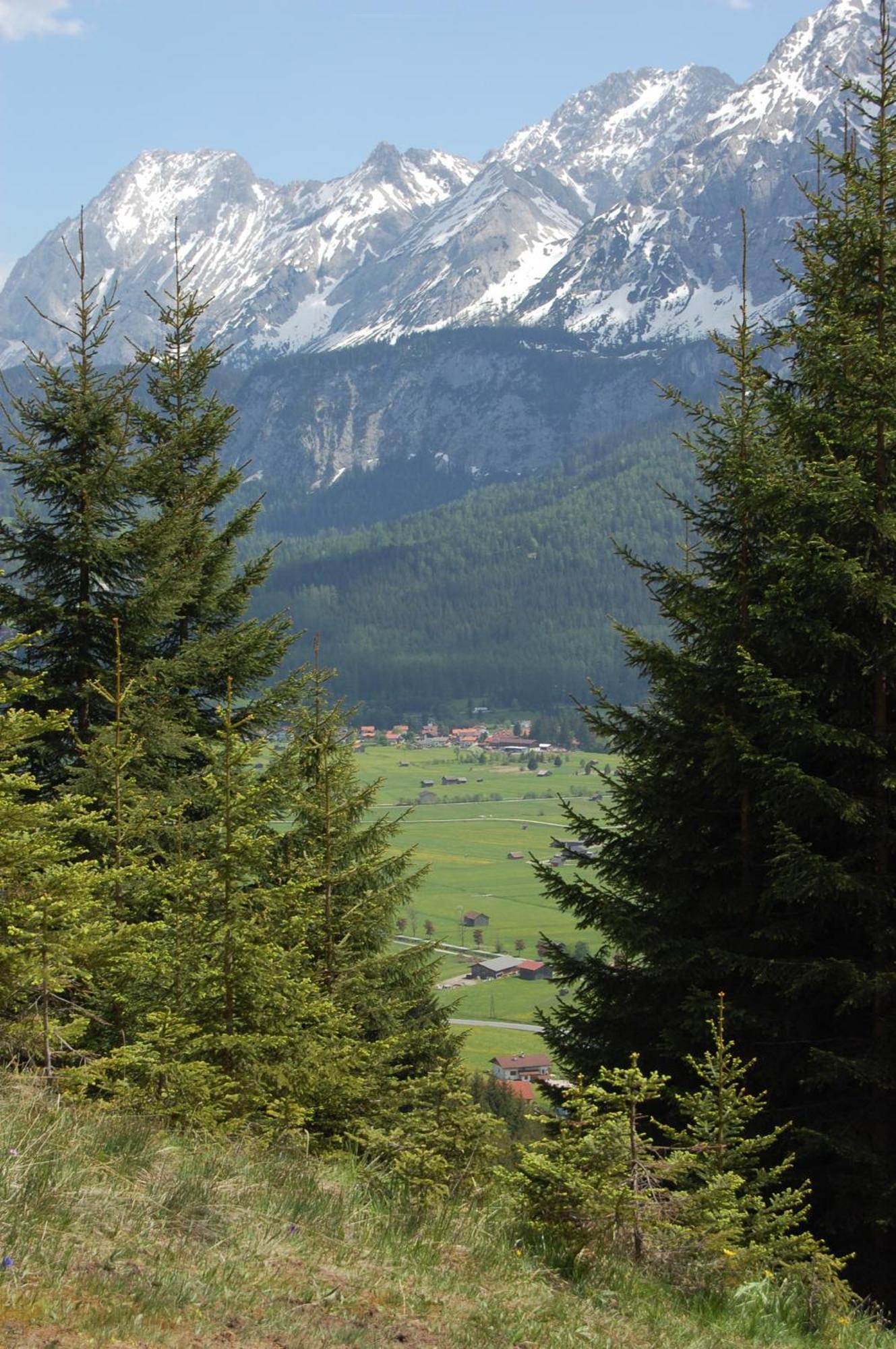 Haus Haas